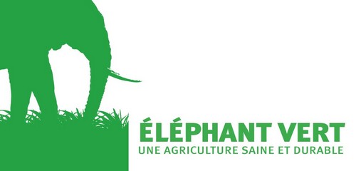 logo Elephant Vert