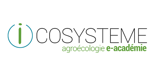 icosystem
