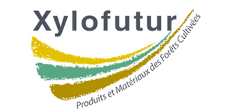 Xylofutur