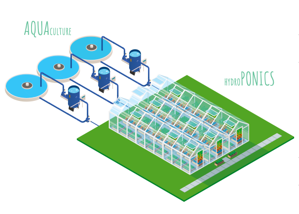 Schéma-Aquaponie