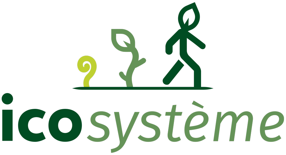 icosysteme