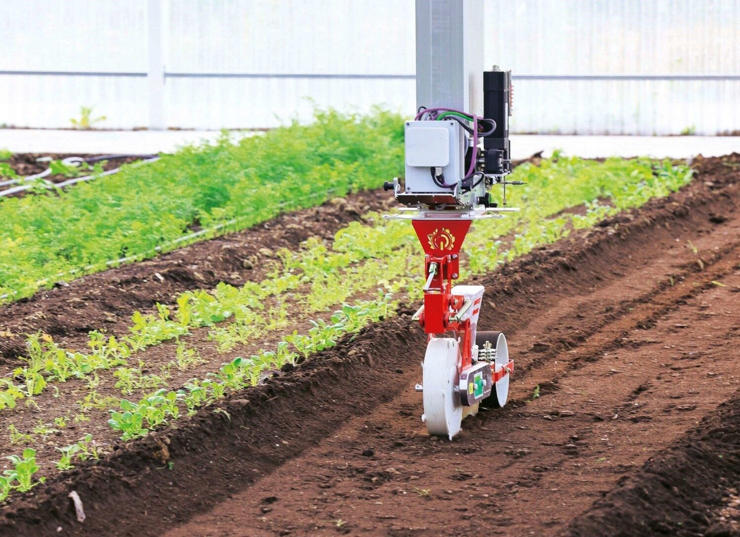 Neofarm2