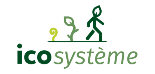 Icosystème