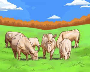 Roots of Tomorrow - elevage bovin grand est