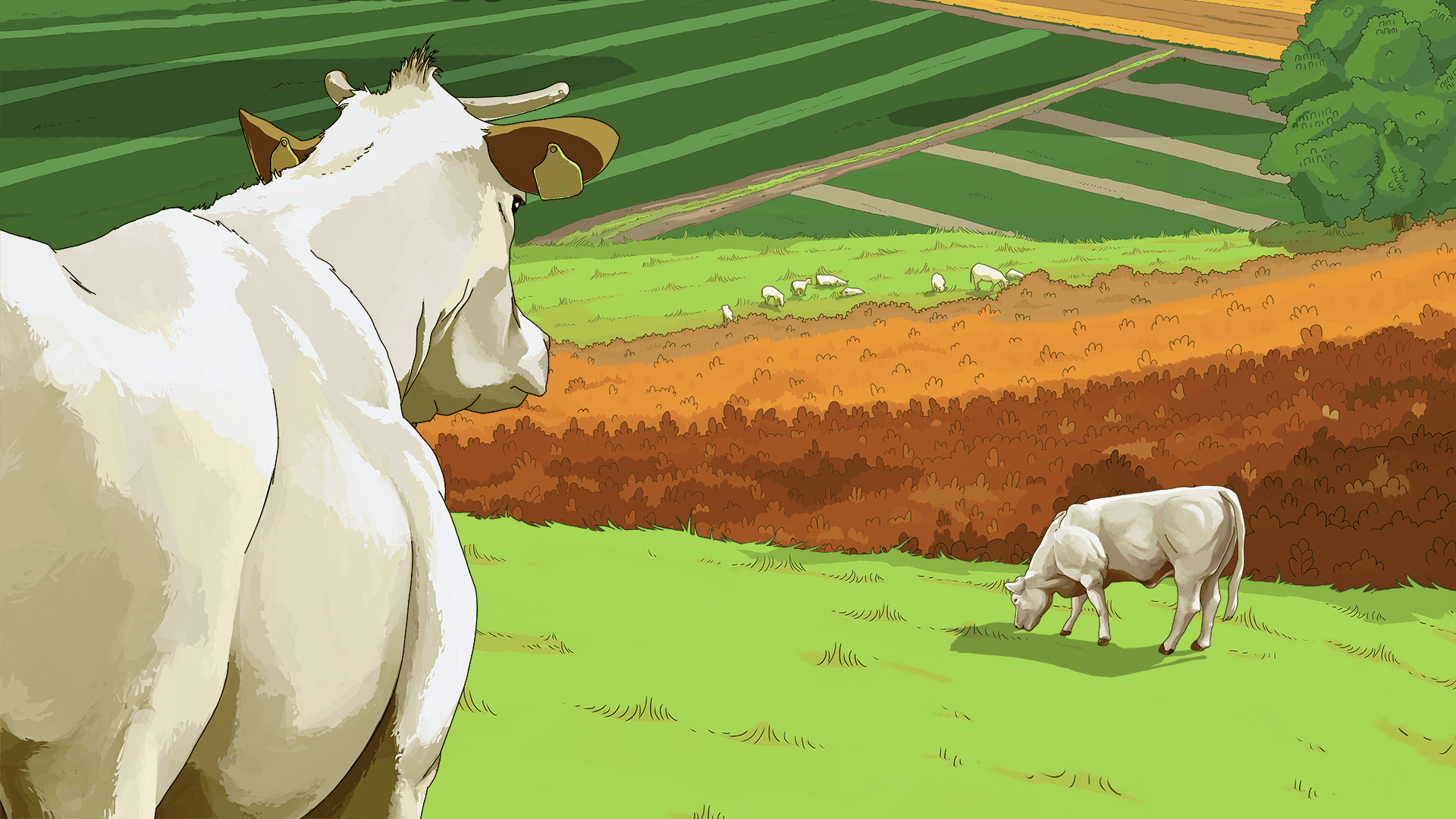 Roots Of Tomorrow paysage