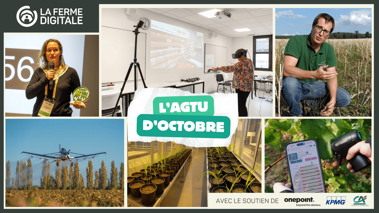 Actualités membres LFD