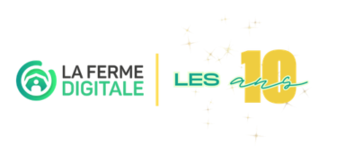 LFD 10 ans original LFD 10 ans original