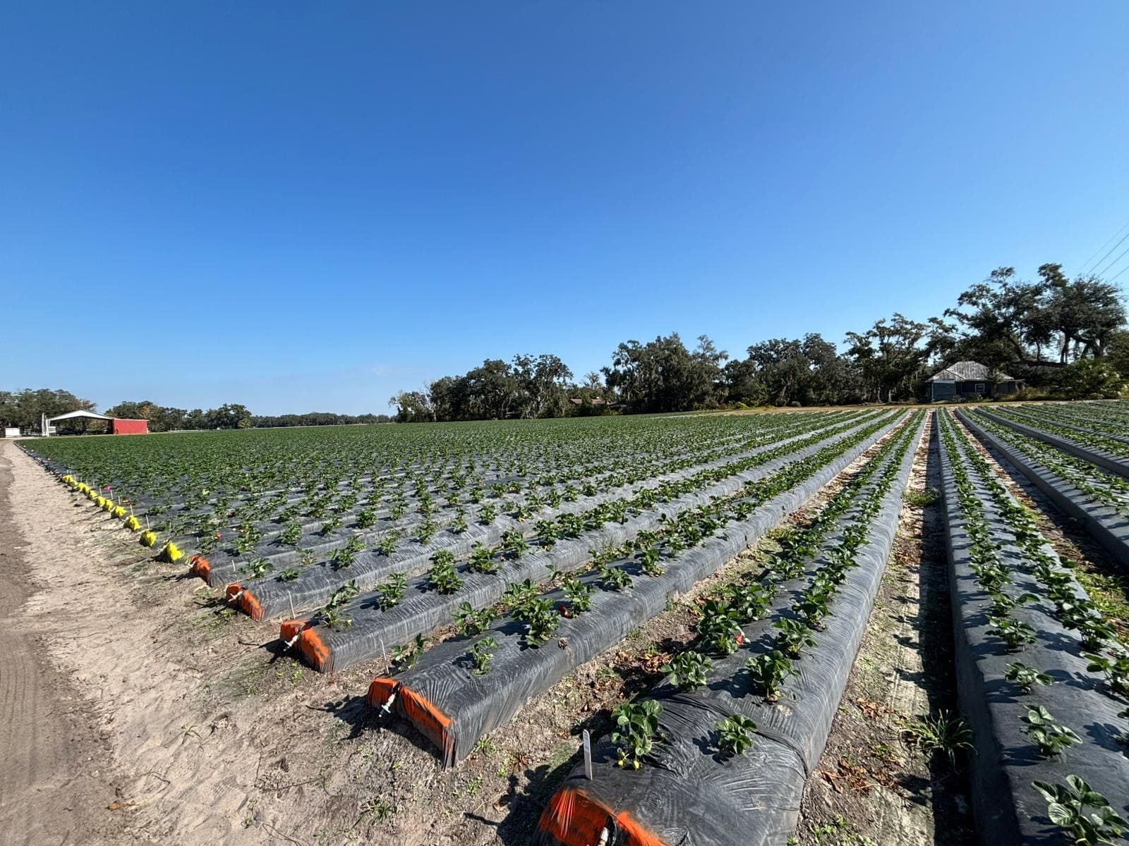 672c64b7-fef1-40df-8a97-a45422dfad3f